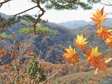 旅游韶山攻略,旅游韶山攻略一日游